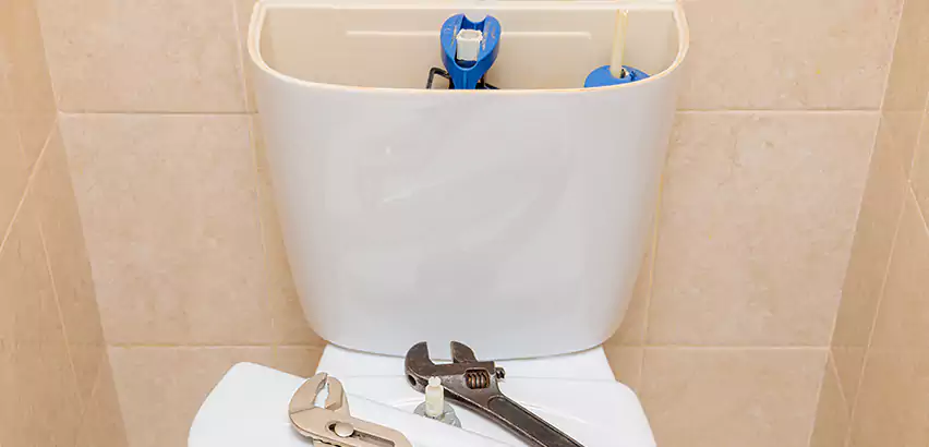 Upflush Toilet Installation in Weston